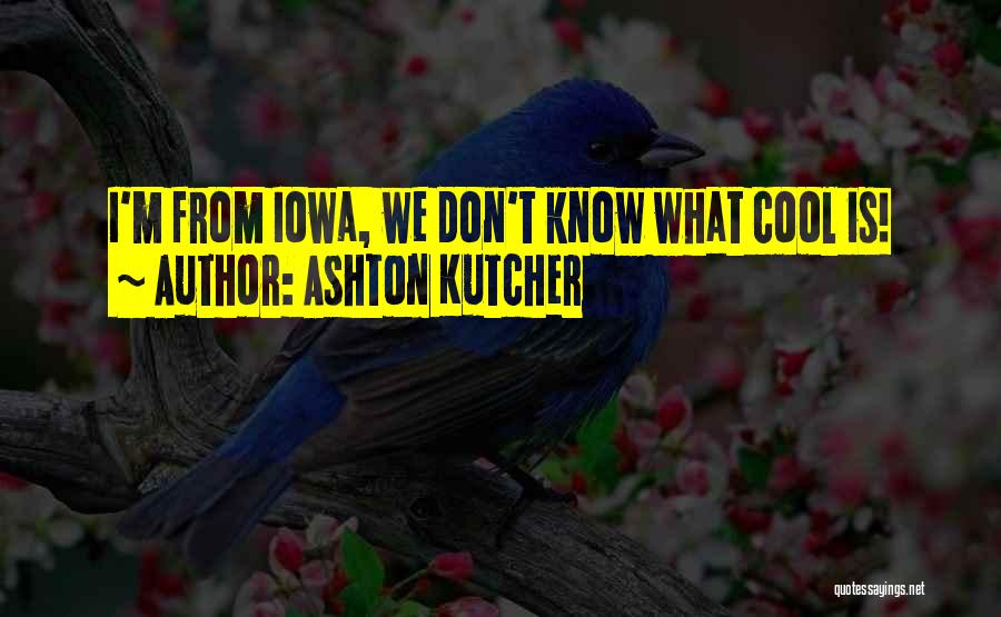 Ashton Kutcher Quotes: I'm From Iowa, We Don't Know What Cool Is!