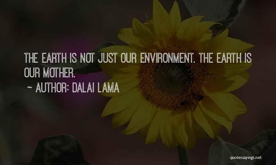 Dalai Lama Quotes: The Earth Is Not Just Our Environment. The Earth Is Our Mother.