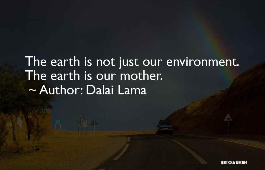 Dalai Lama Quotes: The Earth Is Not Just Our Environment. The Earth Is Our Mother.