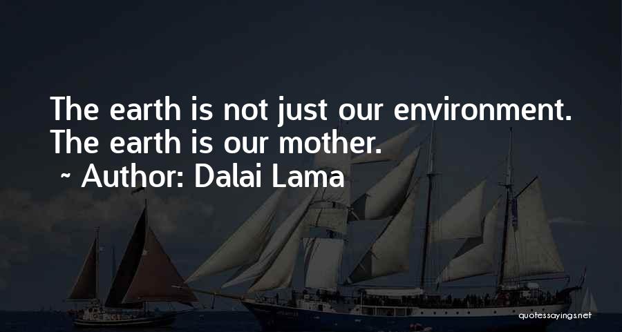 Dalai Lama Quotes: The Earth Is Not Just Our Environment. The Earth Is Our Mother.