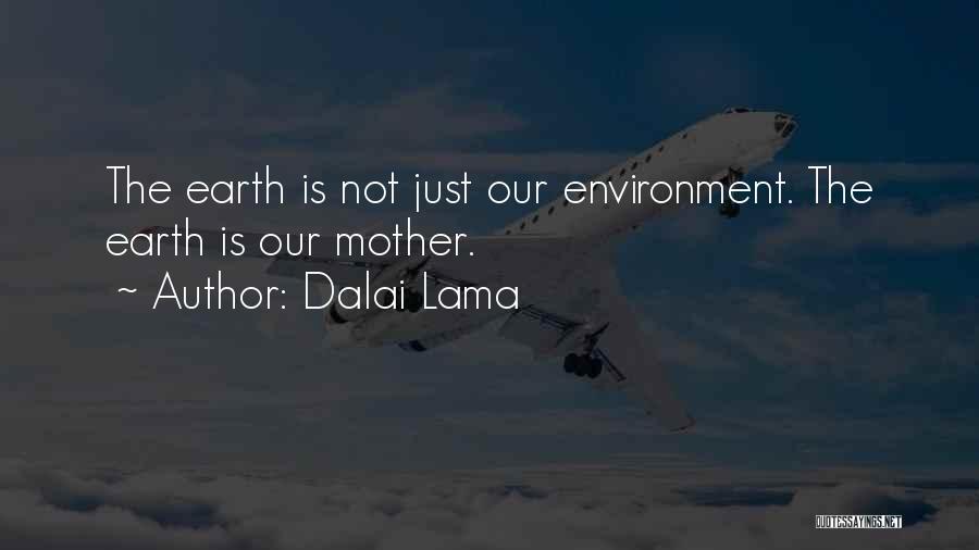Dalai Lama Quotes: The Earth Is Not Just Our Environment. The Earth Is Our Mother.