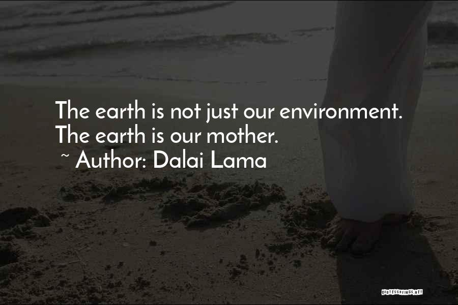 Dalai Lama Quotes: The Earth Is Not Just Our Environment. The Earth Is Our Mother.