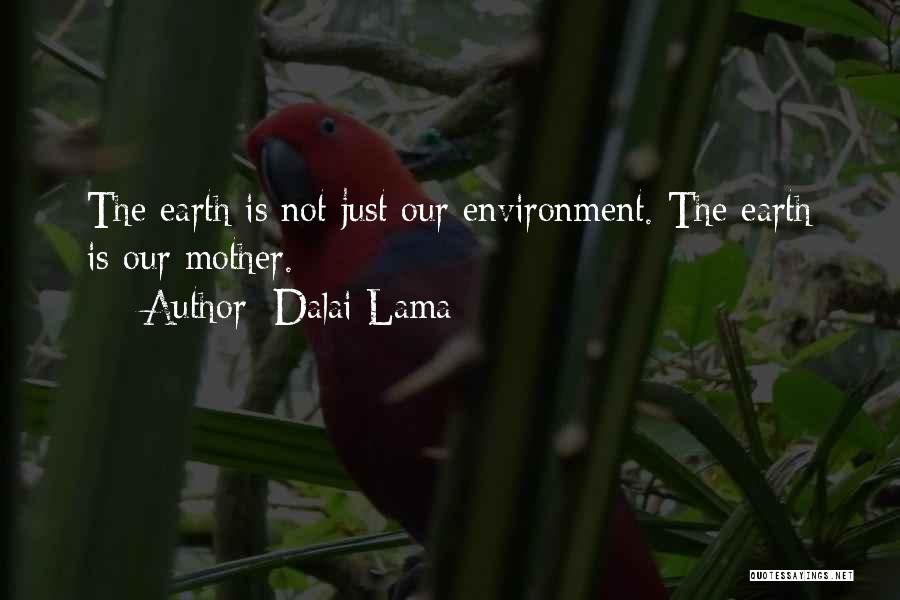 Dalai Lama Quotes: The Earth Is Not Just Our Environment. The Earth Is Our Mother.