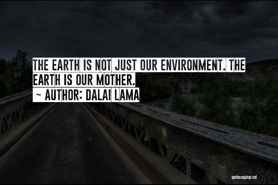 Dalai Lama Quotes: The Earth Is Not Just Our Environment. The Earth Is Our Mother.
