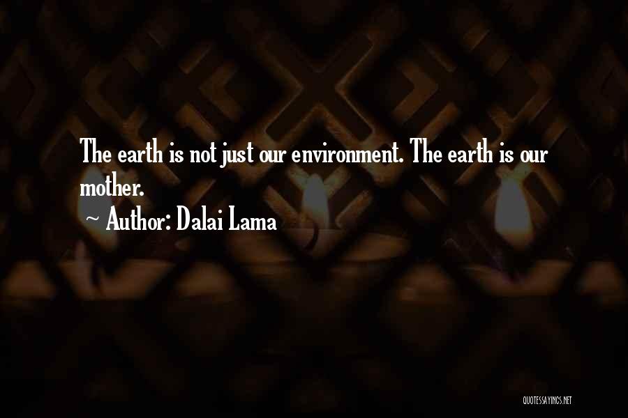 Dalai Lama Quotes: The Earth Is Not Just Our Environment. The Earth Is Our Mother.