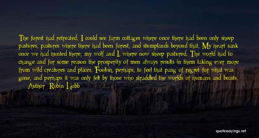 Robin Hobb Quotes: The Forest Had Retreated. I Could See Farm Cottages Where Once There Had Been Only Sheep Pastures, Pastures Where There