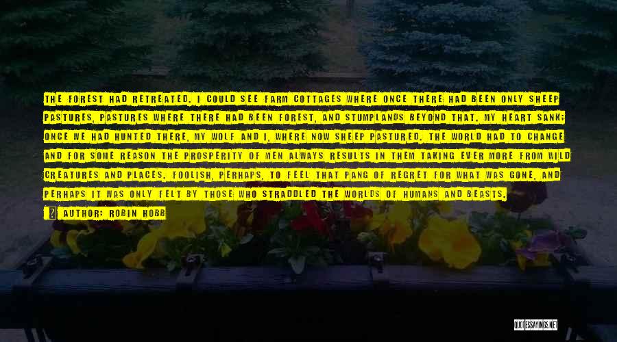 Robin Hobb Quotes: The Forest Had Retreated. I Could See Farm Cottages Where Once There Had Been Only Sheep Pastures, Pastures Where There