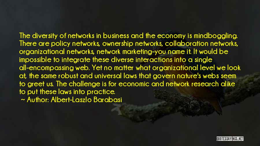 Albert-Laszlo Barabasi Quotes: The Diversity Of Networks In Business And The Economy Is Mindboggling. There Are Policy Networks, Ownership Networks, Collaboration Networks, Organizational