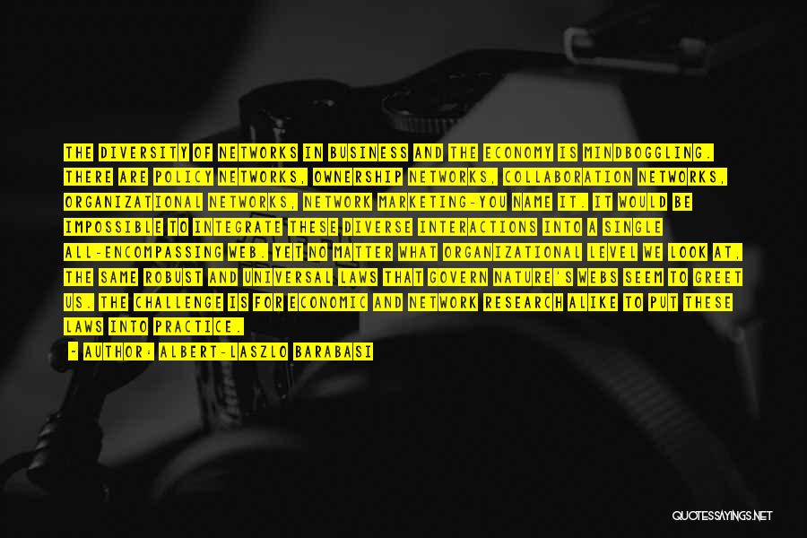 Albert-Laszlo Barabasi Quotes: The Diversity Of Networks In Business And The Economy Is Mindboggling. There Are Policy Networks, Ownership Networks, Collaboration Networks, Organizational