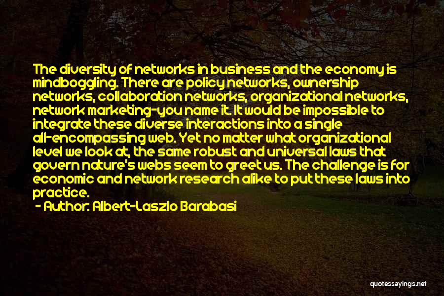 Albert-Laszlo Barabasi Quotes: The Diversity Of Networks In Business And The Economy Is Mindboggling. There Are Policy Networks, Ownership Networks, Collaboration Networks, Organizational