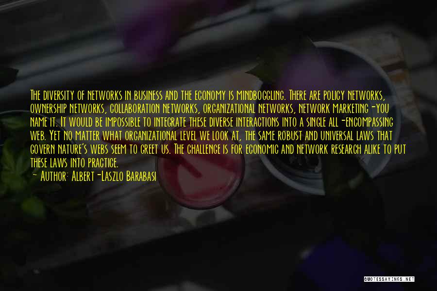 Albert-Laszlo Barabasi Quotes: The Diversity Of Networks In Business And The Economy Is Mindboggling. There Are Policy Networks, Ownership Networks, Collaboration Networks, Organizational