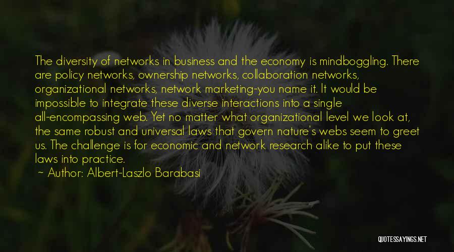 Albert-Laszlo Barabasi Quotes: The Diversity Of Networks In Business And The Economy Is Mindboggling. There Are Policy Networks, Ownership Networks, Collaboration Networks, Organizational