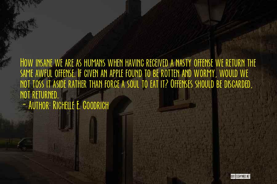 Richelle E. Goodrich Quotes: How Insane We Are As Humans When Having Received A Nasty Offense We Return The Same Awful Offense. If Given