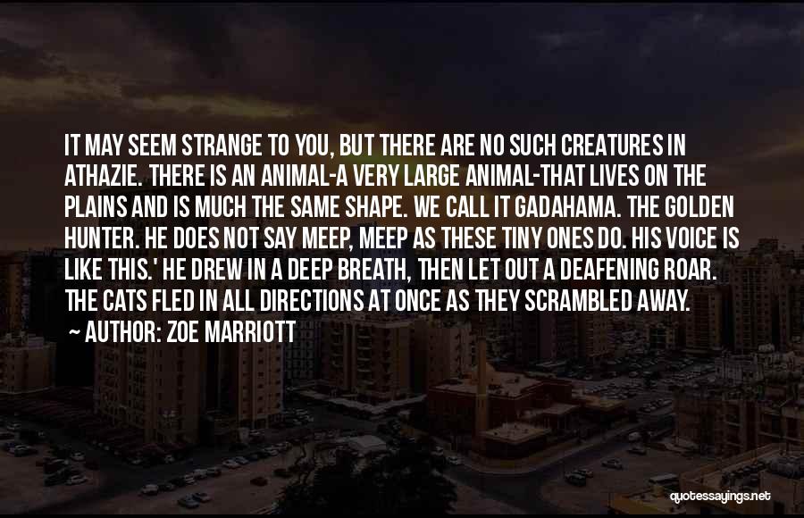 Zoe Marriott Quotes: It May Seem Strange To You, But There Are No Such Creatures In Athazie. There Is An Animal-a Very Large
