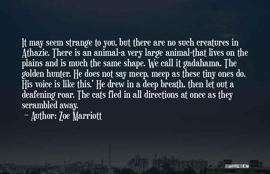 Zoe Marriott Quotes: It May Seem Strange To You, But There Are No Such Creatures In Athazie. There Is An Animal-a Very Large