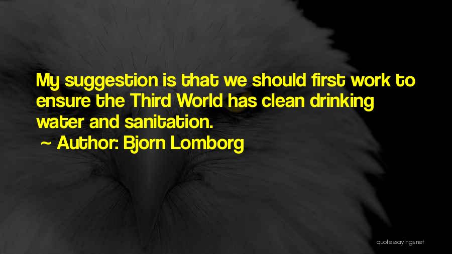 Bjorn Lomborg Quotes: My Suggestion Is That We Should First Work To Ensure The Third World Has Clean Drinking Water And Sanitation.