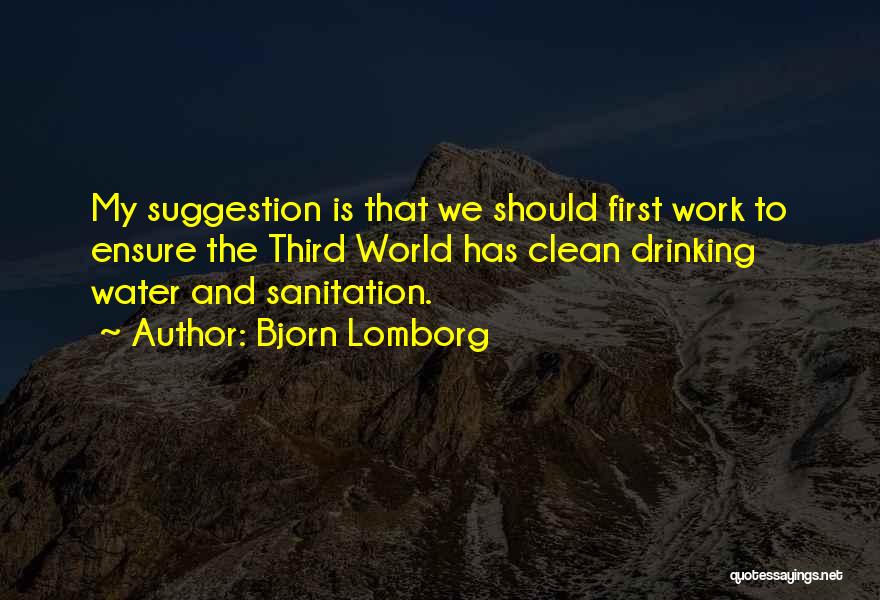 Bjorn Lomborg Quotes: My Suggestion Is That We Should First Work To Ensure The Third World Has Clean Drinking Water And Sanitation.