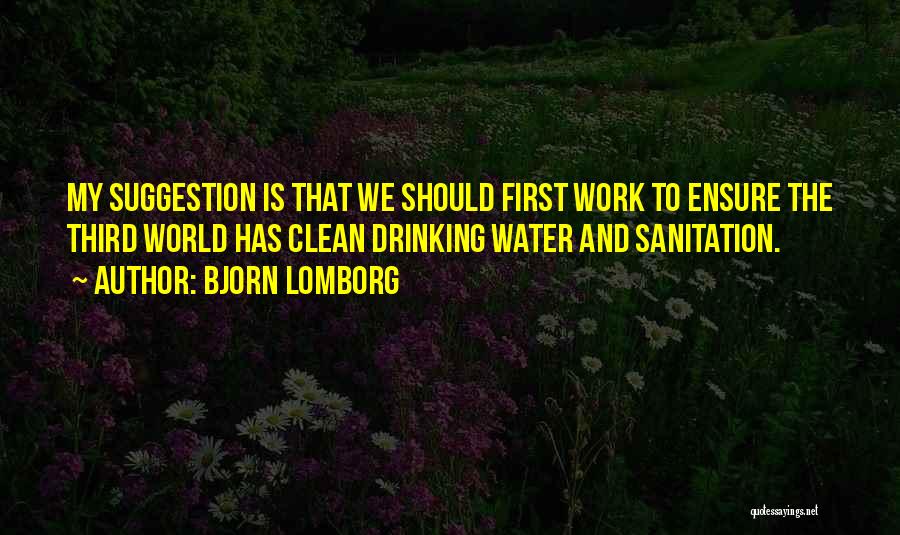 Bjorn Lomborg Quotes: My Suggestion Is That We Should First Work To Ensure The Third World Has Clean Drinking Water And Sanitation.