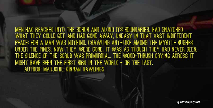 Marjorie Kinnan Rawlings Quotes: Men Had Reached Into The Scrub And Along Its Boundaries, Had Snatched What They Could Get And Had Gone Away,