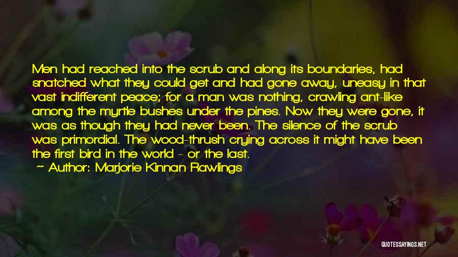 Marjorie Kinnan Rawlings Quotes: Men Had Reached Into The Scrub And Along Its Boundaries, Had Snatched What They Could Get And Had Gone Away,