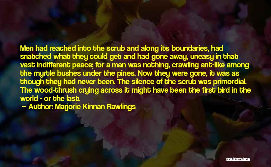 Marjorie Kinnan Rawlings Quotes: Men Had Reached Into The Scrub And Along Its Boundaries, Had Snatched What They Could Get And Had Gone Away,