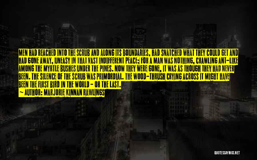 Marjorie Kinnan Rawlings Quotes: Men Had Reached Into The Scrub And Along Its Boundaries, Had Snatched What They Could Get And Had Gone Away,