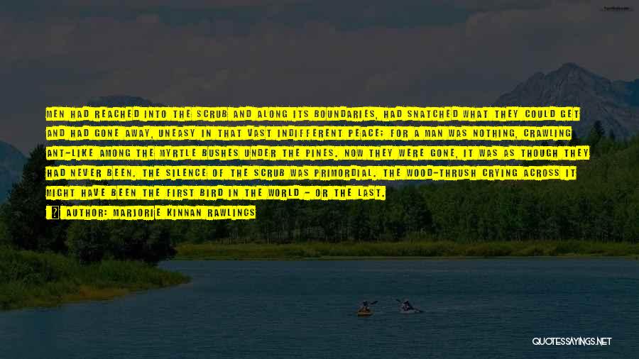 Marjorie Kinnan Rawlings Quotes: Men Had Reached Into The Scrub And Along Its Boundaries, Had Snatched What They Could Get And Had Gone Away,