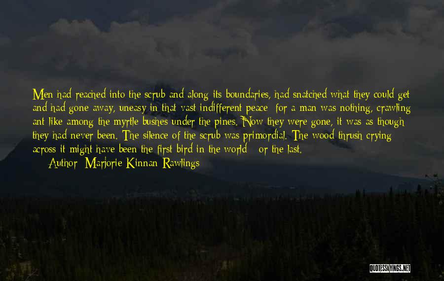 Marjorie Kinnan Rawlings Quotes: Men Had Reached Into The Scrub And Along Its Boundaries, Had Snatched What They Could Get And Had Gone Away,