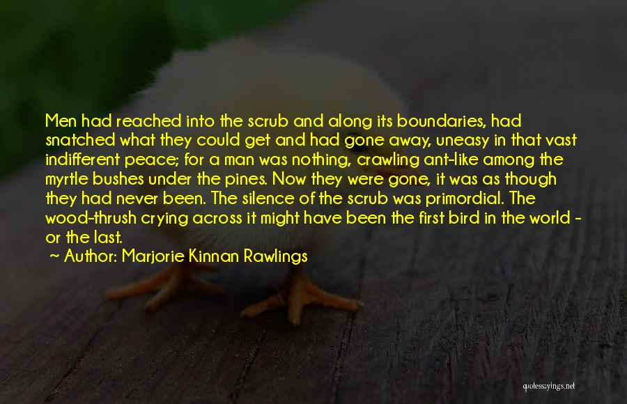 Marjorie Kinnan Rawlings Quotes: Men Had Reached Into The Scrub And Along Its Boundaries, Had Snatched What They Could Get And Had Gone Away,