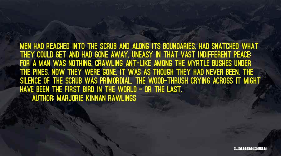 Marjorie Kinnan Rawlings Quotes: Men Had Reached Into The Scrub And Along Its Boundaries, Had Snatched What They Could Get And Had Gone Away,