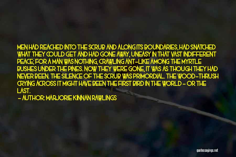 Marjorie Kinnan Rawlings Quotes: Men Had Reached Into The Scrub And Along Its Boundaries, Had Snatched What They Could Get And Had Gone Away,