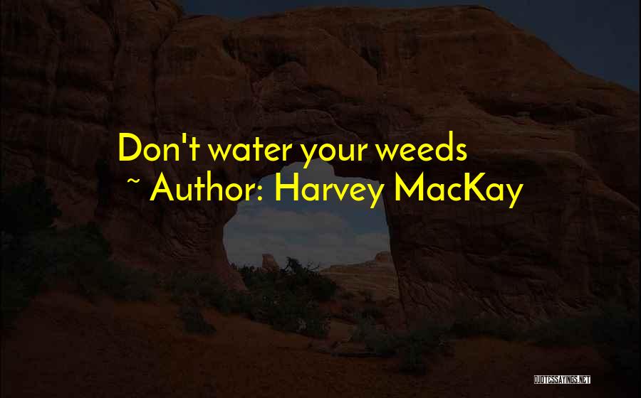 Harvey MacKay Quotes: Don't Water Your Weeds