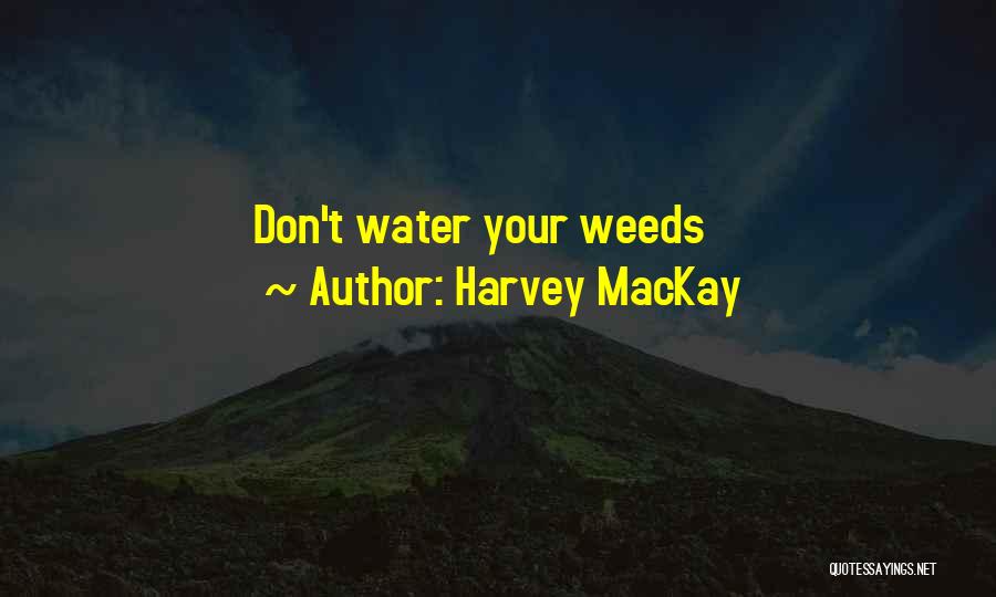 Harvey MacKay Quotes: Don't Water Your Weeds