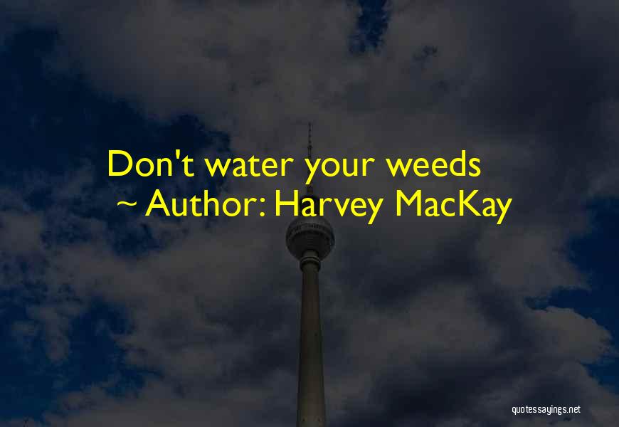 Harvey MacKay Quotes: Don't Water Your Weeds