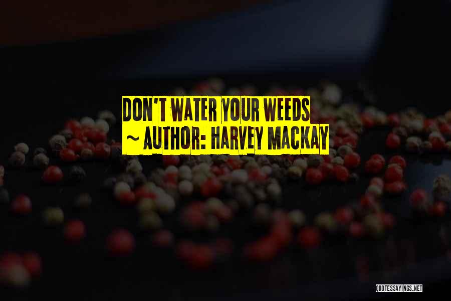 Harvey MacKay Quotes: Don't Water Your Weeds