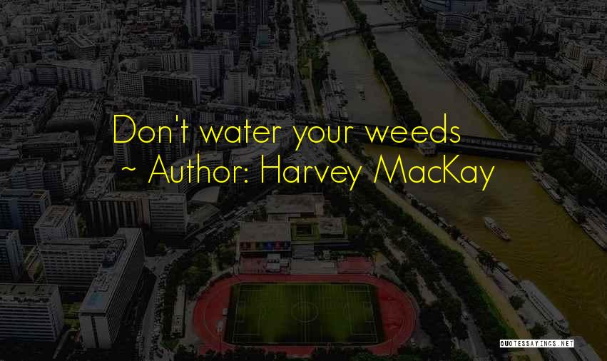 Harvey MacKay Quotes: Don't Water Your Weeds