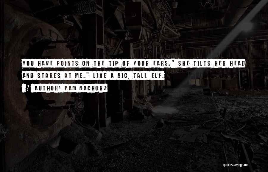 Pam Bachorz Quotes: You Have Points On The Tip Of Your Ears. She Tilts Her Head And Stares At Me. Like A Big,