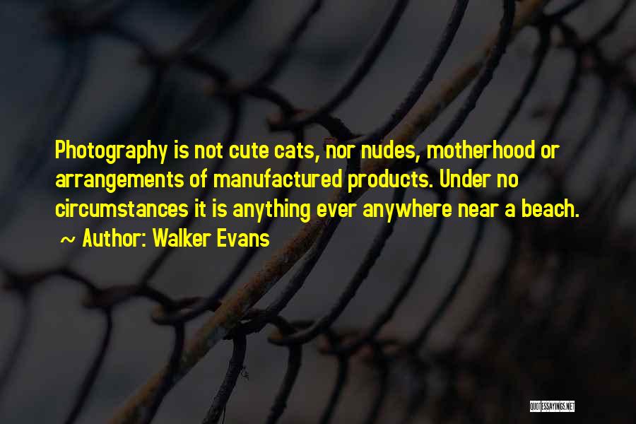 Walker Evans Quotes: Photography Is Not Cute Cats, Nor Nudes, Motherhood Or Arrangements Of Manufactured Products. Under No Circumstances It Is Anything Ever