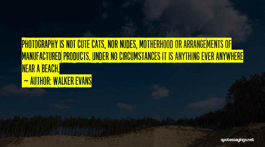 Walker Evans Quotes: Photography Is Not Cute Cats, Nor Nudes, Motherhood Or Arrangements Of Manufactured Products. Under No Circumstances It Is Anything Ever