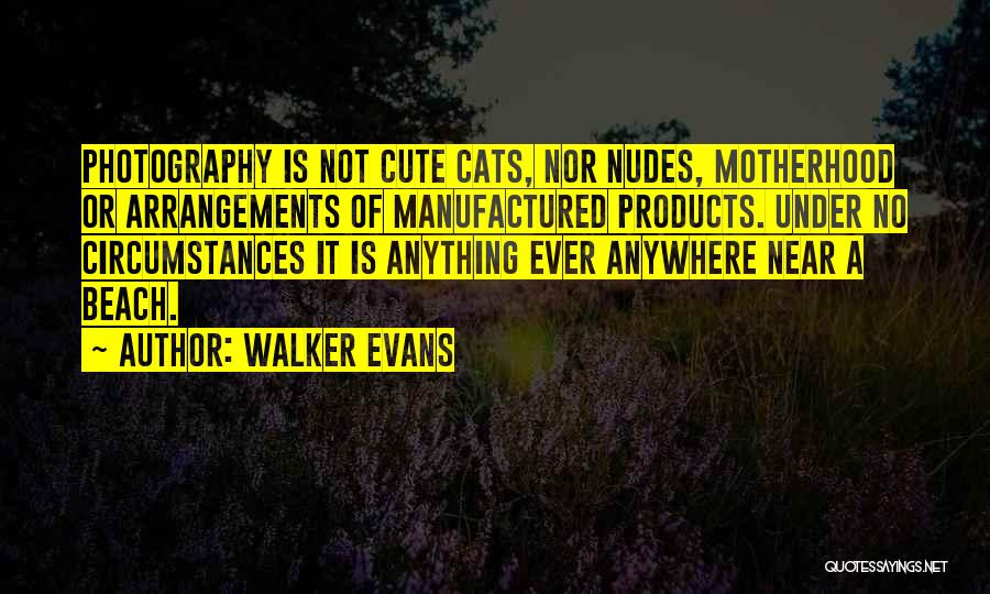 Walker Evans Quotes: Photography Is Not Cute Cats, Nor Nudes, Motherhood Or Arrangements Of Manufactured Products. Under No Circumstances It Is Anything Ever