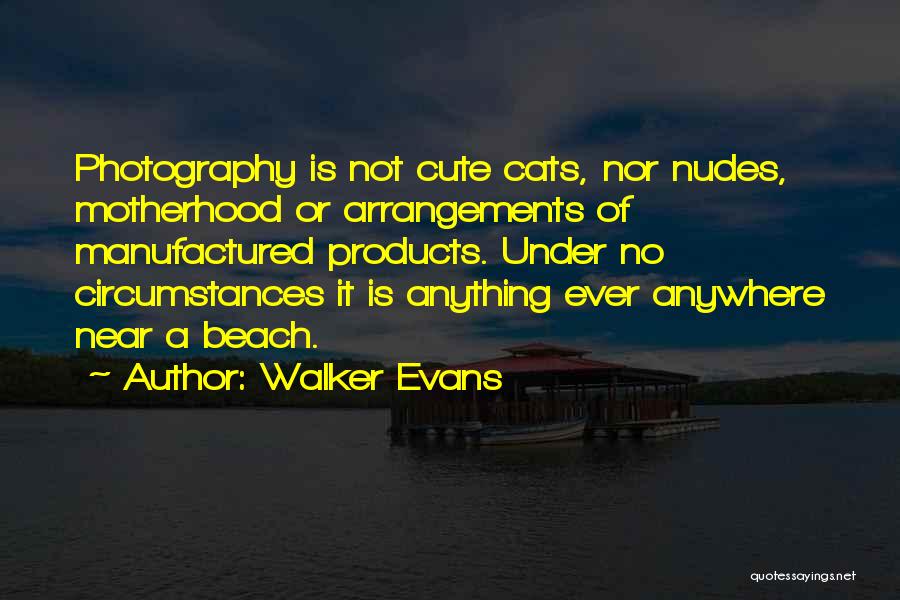 Walker Evans Quotes: Photography Is Not Cute Cats, Nor Nudes, Motherhood Or Arrangements Of Manufactured Products. Under No Circumstances It Is Anything Ever