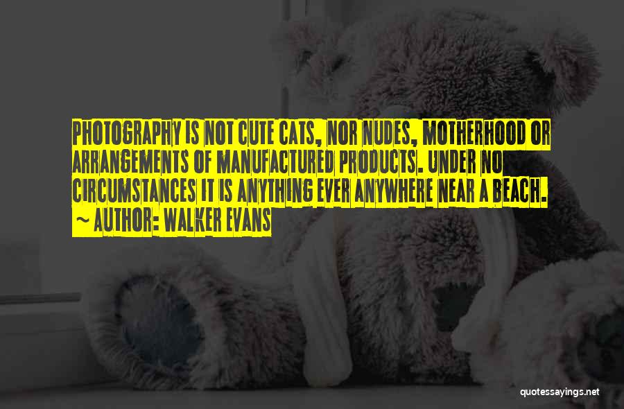 Walker Evans Quotes: Photography Is Not Cute Cats, Nor Nudes, Motherhood Or Arrangements Of Manufactured Products. Under No Circumstances It Is Anything Ever