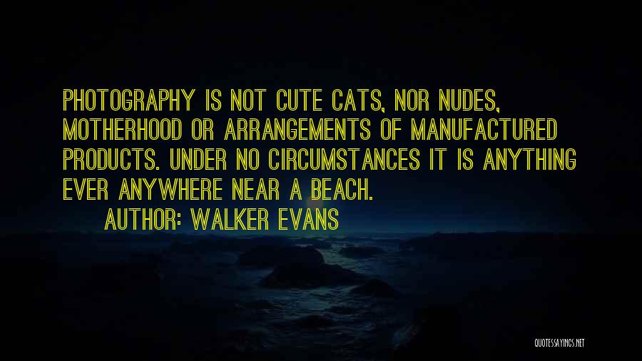 Walker Evans Quotes: Photography Is Not Cute Cats, Nor Nudes, Motherhood Or Arrangements Of Manufactured Products. Under No Circumstances It Is Anything Ever