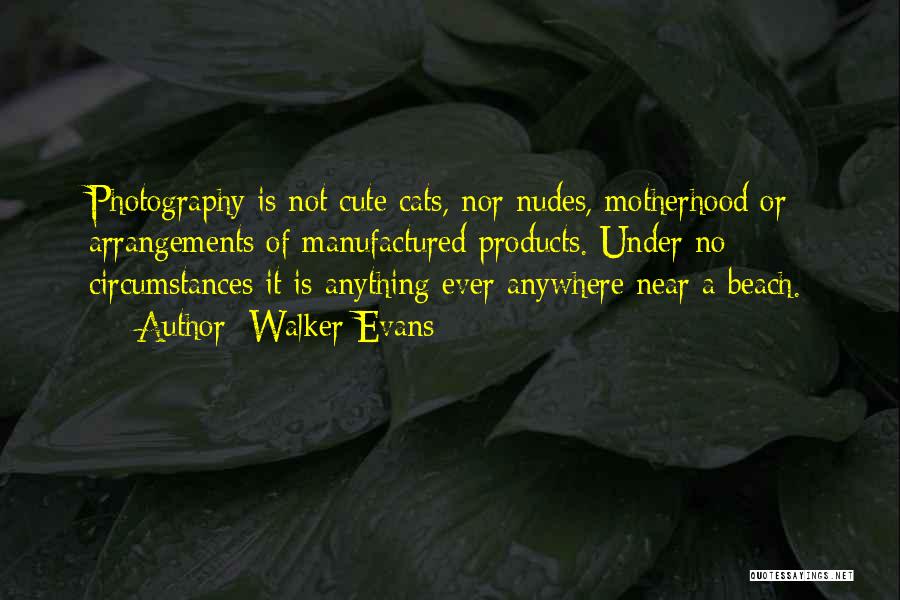 Walker Evans Quotes: Photography Is Not Cute Cats, Nor Nudes, Motherhood Or Arrangements Of Manufactured Products. Under No Circumstances It Is Anything Ever