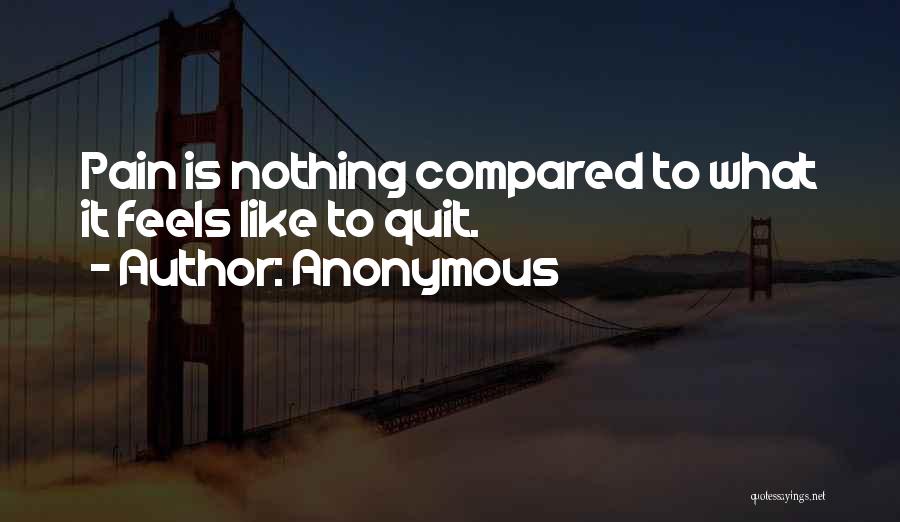 Anonymous Quotes: Pain Is Nothing Compared To What It Feels Like To Quit.