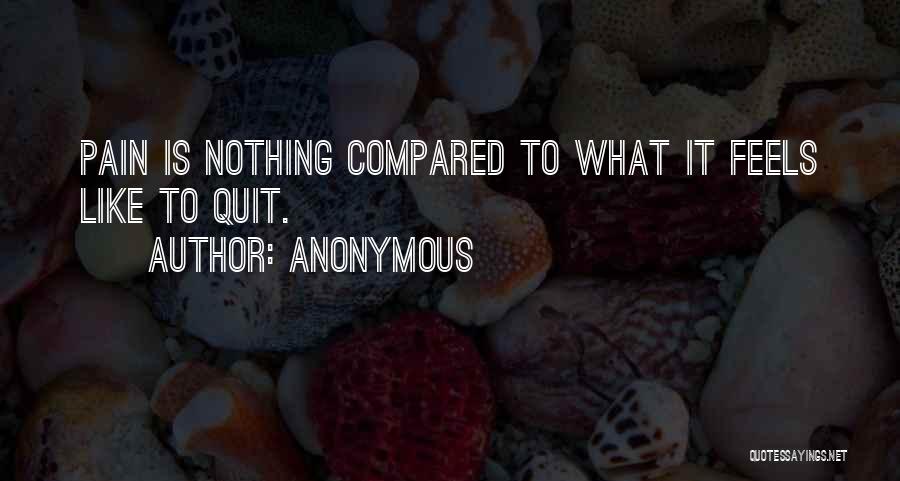 Anonymous Quotes: Pain Is Nothing Compared To What It Feels Like To Quit.