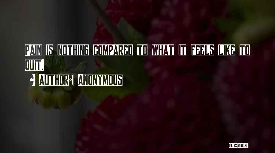 Anonymous Quotes: Pain Is Nothing Compared To What It Feels Like To Quit.