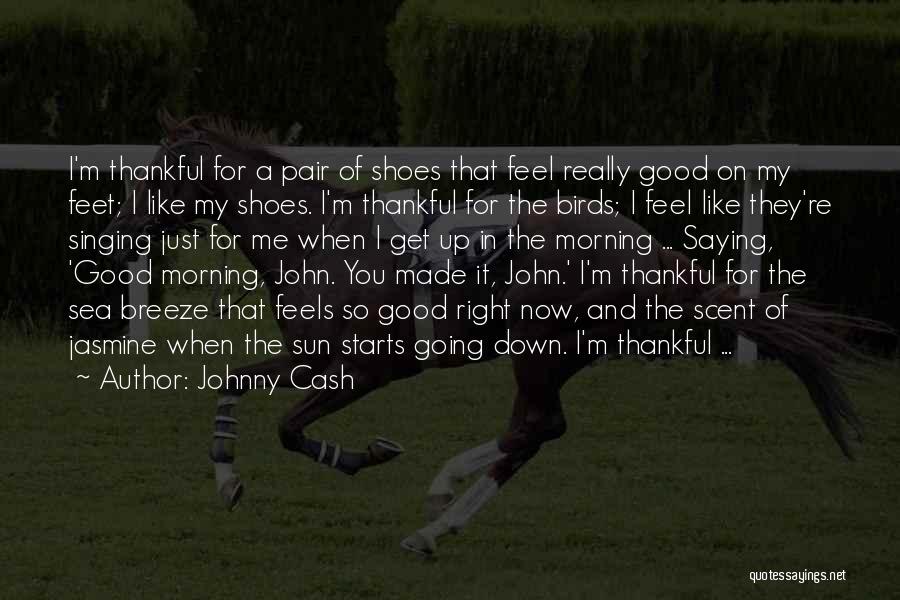 Johnny Cash Quotes: I'm Thankful For A Pair Of Shoes That Feel Really Good On My Feet; I Like My Shoes. I'm Thankful