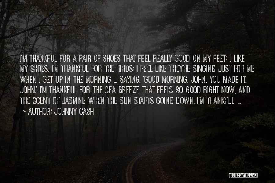 Johnny Cash Quotes: I'm Thankful For A Pair Of Shoes That Feel Really Good On My Feet; I Like My Shoes. I'm Thankful