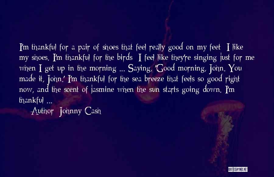 Johnny Cash Quotes: I'm Thankful For A Pair Of Shoes That Feel Really Good On My Feet; I Like My Shoes. I'm Thankful